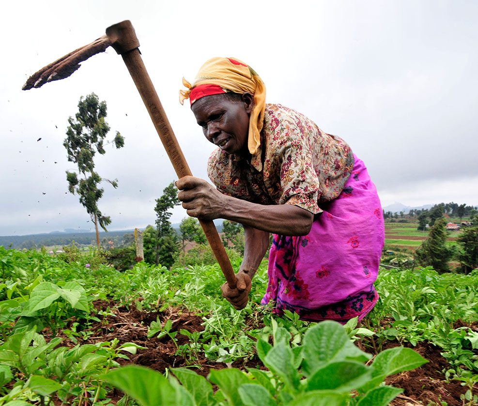 An black African Woman digging in the field - Homepage